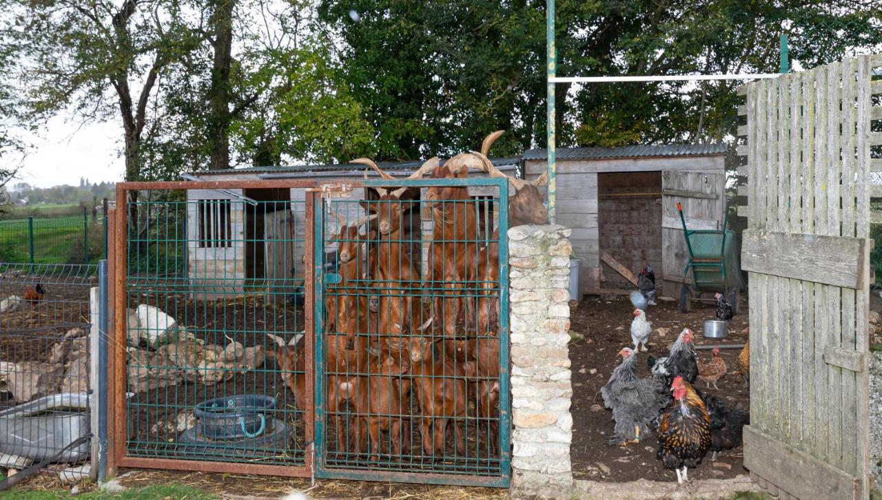 La Ferme Des Nonains Apartment Montjavoult Exterior photo